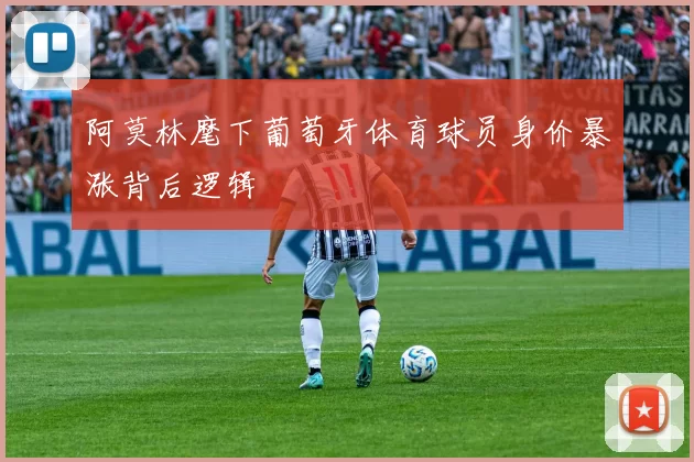 阿莫林麾下葡萄牙体育球员身价暴涨背后逻辑