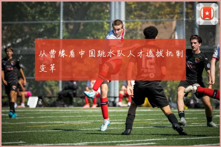 从曹缘看中国跳水队人才选拔机制变革