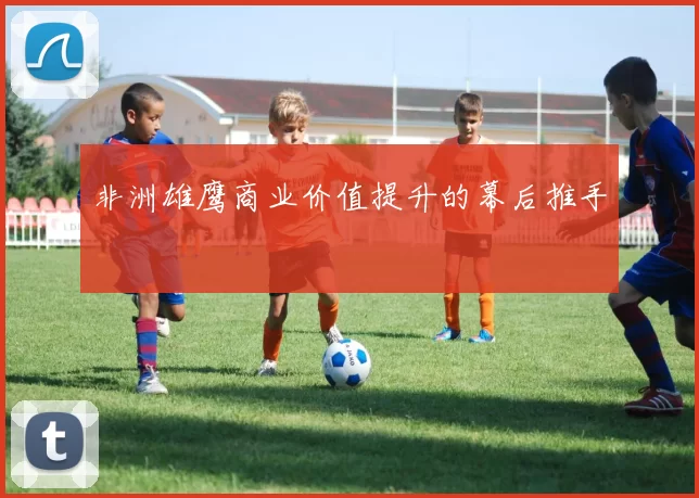 非洲雄鹰商业价值提升的幕后推手
